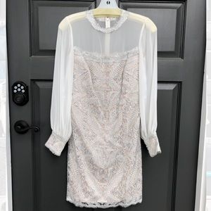 Tadashi Shoji silver embroidered dress size 2